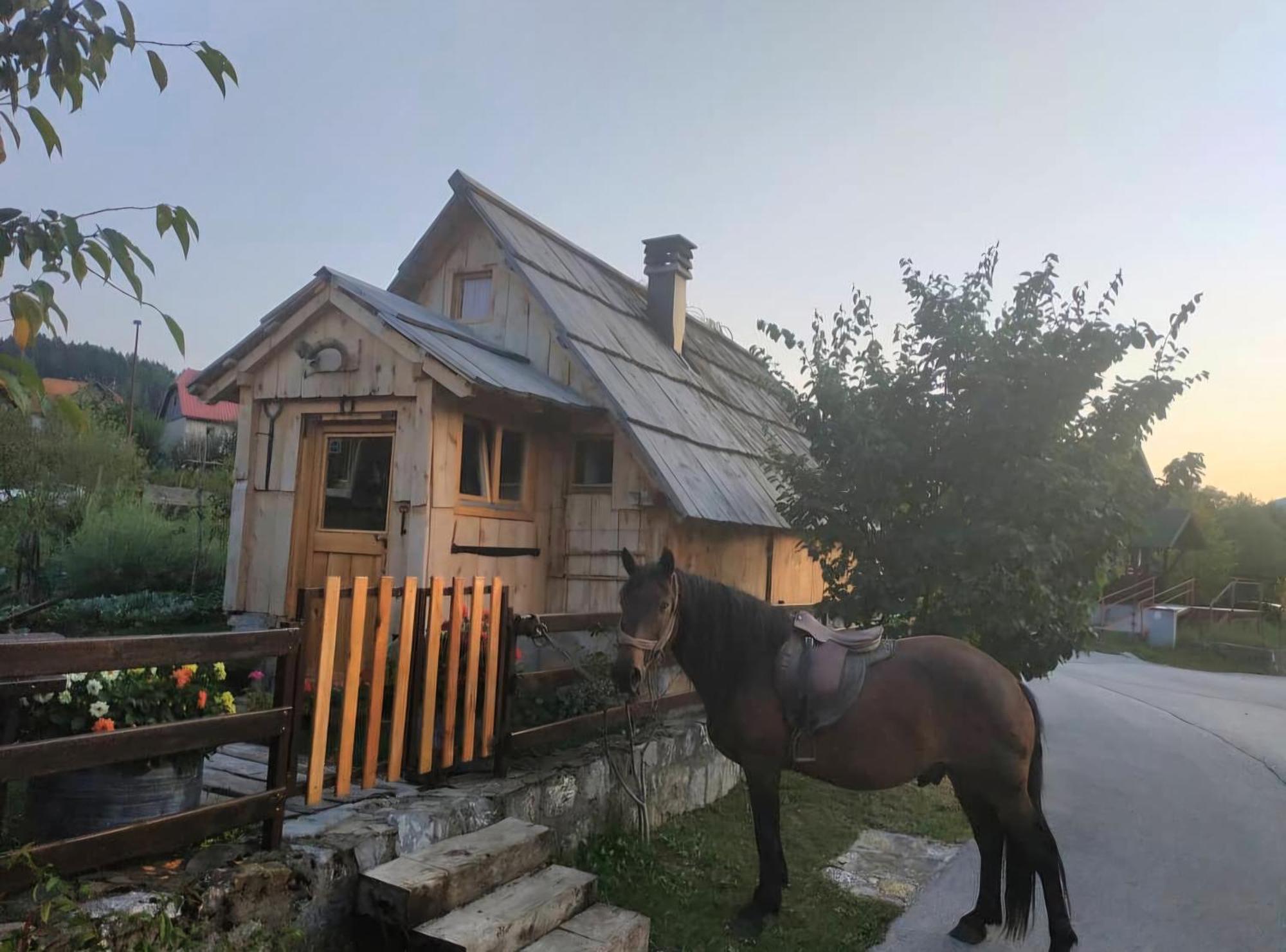 Etno Smjestaj Bjelasica Kolašin Zewnętrze zdjęcie